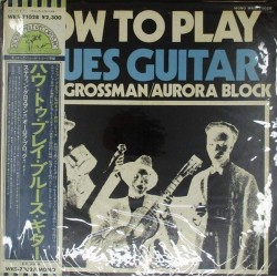 Пластинка Stefan Grossman / Aurora Block How To Play Blues Guitar